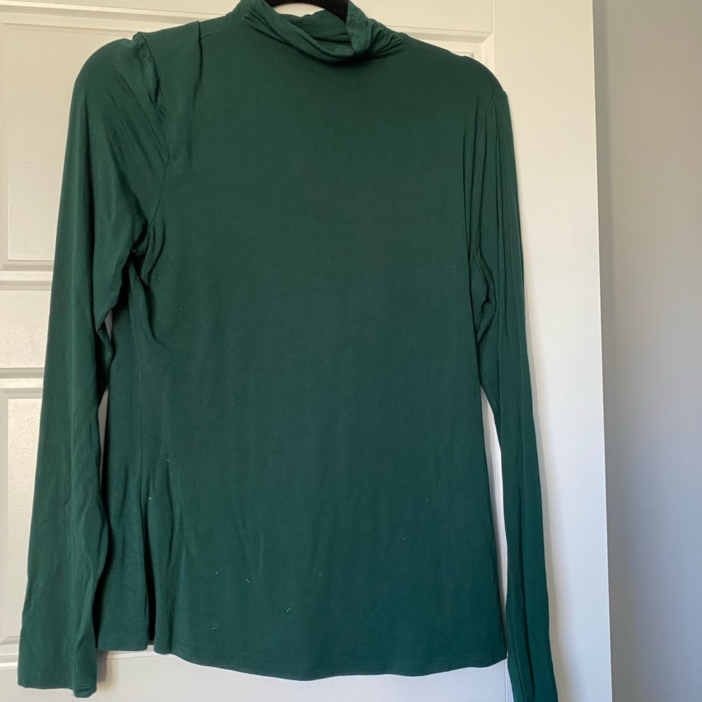 RW&Co fitted turtleneck in dark Green.